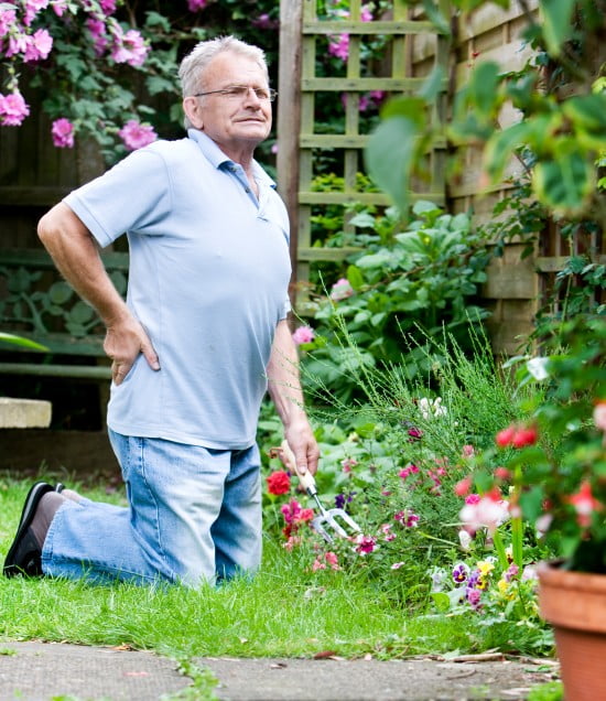 a man is gardening and holding his back in pain